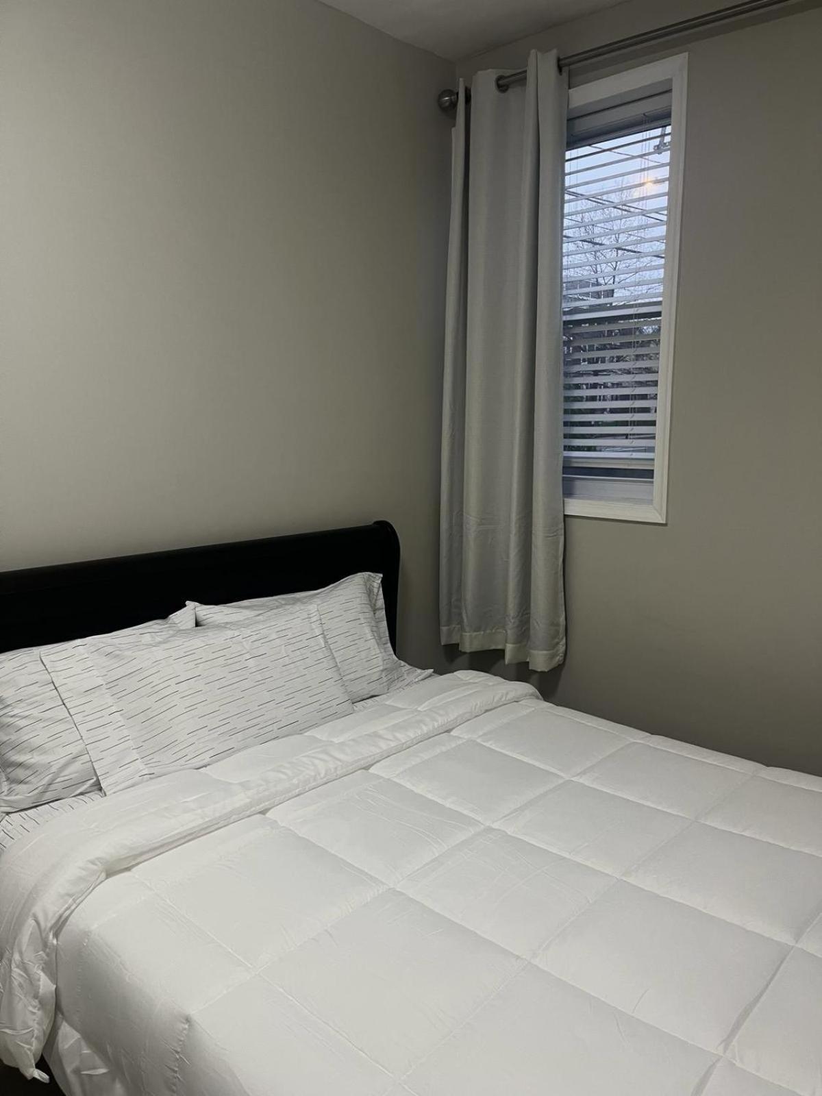 Lovely Cozy 1br Nw Dc